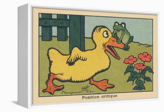 A Frog Balances on a Duck's Beak.” Critical Position” ,1936 (Illustration)-Benjamin Rabier-Framed Premier Image Canvas