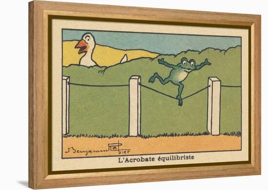 A Frog Balances on a Tight Wire.” the Balancing Acrobat” ,1936 (Illustration)-Benjamin Rabier-Framed Premier Image Canvas