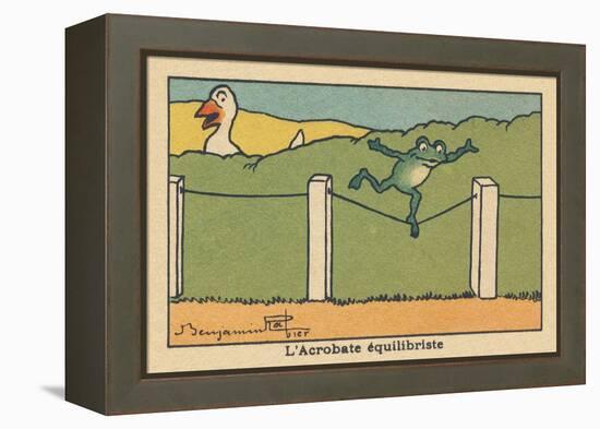 A Frog Balances on a Tight Wire.” the Balancing Acrobat” ,1936 (Illustration)-Benjamin Rabier-Framed Premier Image Canvas