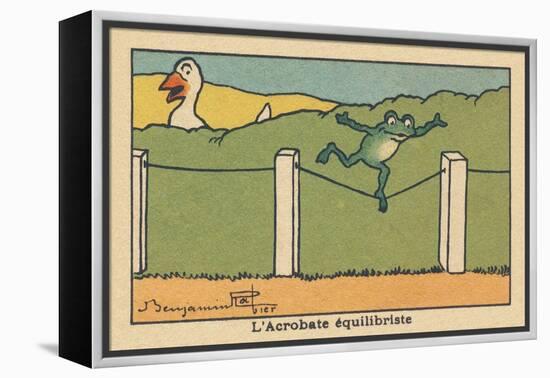 A Frog Balances on a Tight Wire.” the Balancing Acrobat” ,1936 (Illustration)-Benjamin Rabier-Framed Premier Image Canvas