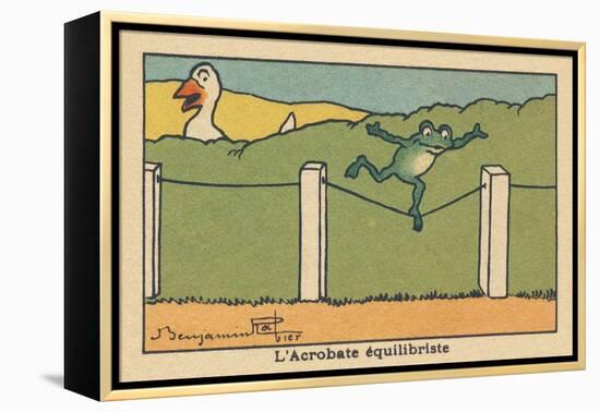 A Frog Balances on a Tight Wire.” the Balancing Acrobat” ,1936 (Illustration)-Benjamin Rabier-Framed Premier Image Canvas