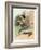 A Frog He Would a Wooing Go, Children's Book Illustration-null-Framed Giclee Print