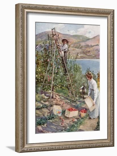 A Fruit Ranch at Nelson, British Columbia-Harold Copping-Framed Giclee Print