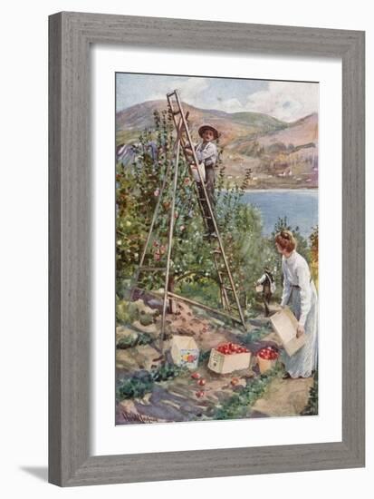 A Fruit Ranch at Nelson, British Columbia-Harold Copping-Framed Giclee Print
