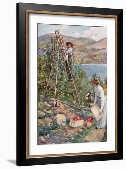 A Fruit Ranch at Nelson, British Columbia-Harold Copping-Framed Giclee Print