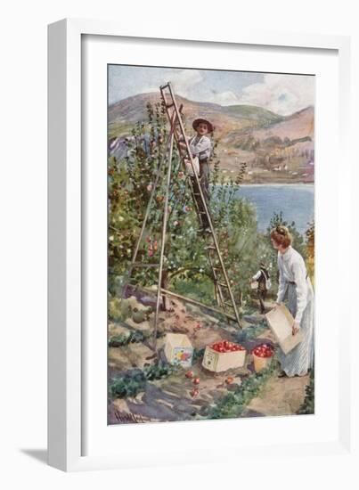 A Fruit Ranch at Nelson, British Columbia-Harold Copping-Framed Giclee Print