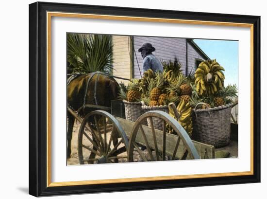 A Fruit Trader, Taboga Island, Panama, Early 20th Century-null-Framed Giclee Print