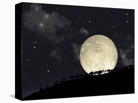Stretched Canvas Print, , large