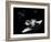 A Future Generation Space Shuttle Rendezvous with a Lunar Cycler-Stocktrek Images-Framed Art Print