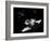 A Future Generation Space Shuttle Rendezvous with a Lunar Cycler-Stocktrek Images-Framed Art Print
