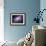 A Galactic Light Show in Spiral Galaxy Ngc 4258-null-Framed Photographic Print displayed on a wall