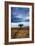 A Game Trail Leads To A Lone Tree Near The Great Salt Lake, Utah-Lindsay Daniels-Framed Photographic Print