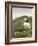 A gaping puffin (Fratercula arctica) captured at the Wick on Skomer Island, Pembrokeshire, Wales, U-Matthew Cattell-Framed Photographic Print