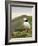 A gaping puffin (Fratercula arctica) captured at the Wick on Skomer Island, Pembrokeshire, Wales, U-Matthew Cattell-Framed Photographic Print