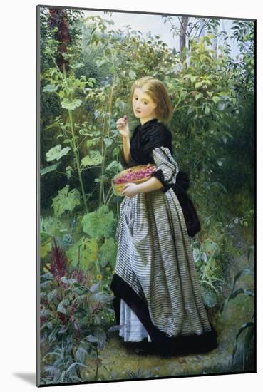 A Garden Harvest-Frederick Smallfield-Mounted Giclee Print