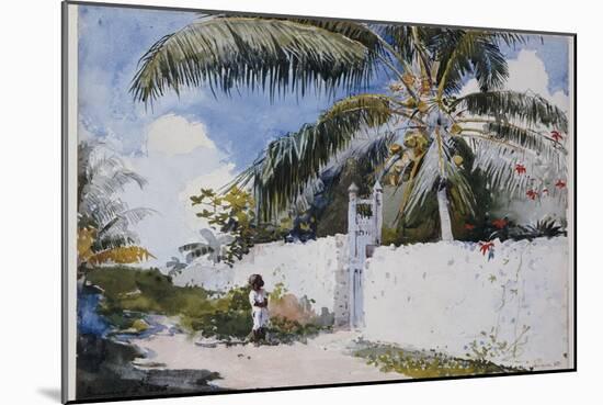A Garden in Nassau, 1885-Winslow Homer-Mounted Giclee Print