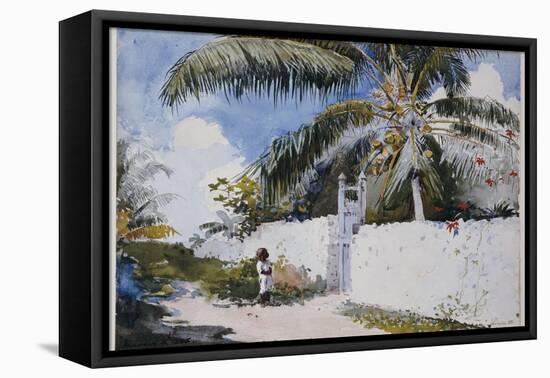 A Garden in Nassau, 1885-Winslow Homer-Framed Premier Image Canvas