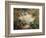 A Garden in Sorrento-Pierre-Auguste Renoir-Framed Giclee Print