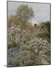 A Garden in Spring-Helen Allingham-Mounted Giclee Print