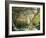 A Garden in Vetheuil-Claude Monet-Framed Giclee Print