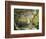 A Garden in Vetheuil-Claude Monet-Framed Giclee Print