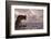 A Gargoyle on Notre Dame De Paris Cathedral Looks over the City, Paris, France, Europe-Julian Elliott-Framed Photographic Print