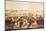 A General View of San Francisco, C.1850-52-Francis Samuel Marryat-Mounted Giclee Print