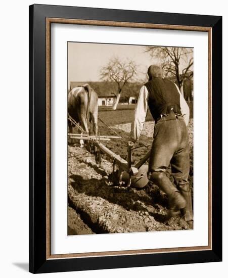 A German Farmer at Work-German photographer-Framed Giclee Print