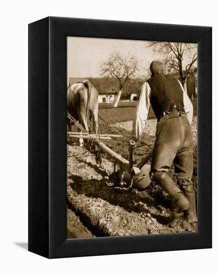 A German Farmer at Work-German photographer-Framed Premier Image Canvas