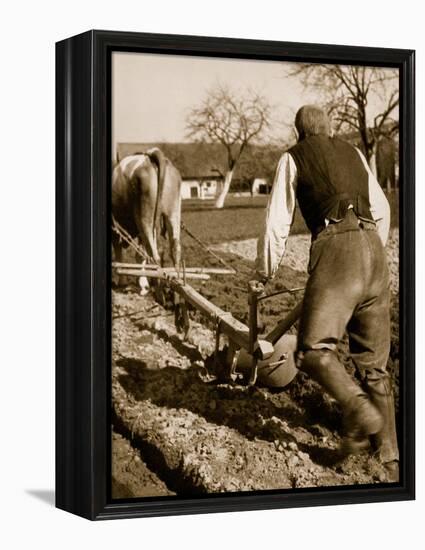 A German Farmer at Work-German photographer-Framed Premier Image Canvas