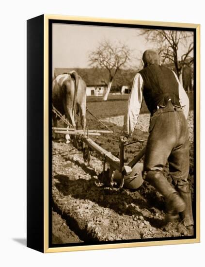 A German Farmer at Work-German photographer-Framed Premier Image Canvas