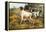 A German-Short Haired Pointer and Two Setters in a Landscape-Edmund Henry Osthaus-Framed Premier Image Canvas