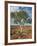 A Ghost Gum with an Exposed Root Thrives in Rocky Terrain at Kings Canyon, Australia-Nigel Pavitt-Framed Photographic Print