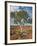 A Ghost Gum with an Exposed Root Thrives in Rocky Terrain at Kings Canyon, Australia-Nigel Pavitt-Framed Photographic Print