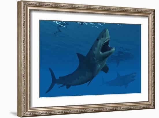 A Giant Megalodon Shark During the Cenozoic Era of Time-Stocktrek Images-Framed Art Print