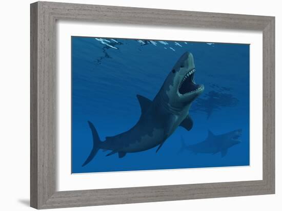 A Giant Megalodon Shark During the Cenozoic Era of Time-Stocktrek Images-Framed Art Print