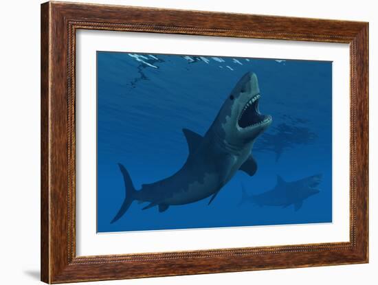 A Giant Megalodon Shark During the Cenozoic Era of Time-Stocktrek Images-Framed Art Print