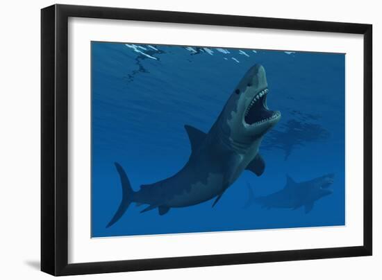 A Giant Megalodon Shark During the Cenozoic Era of Time-Stocktrek Images-Framed Art Print