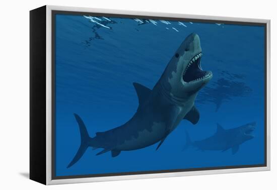 A Giant Megalodon Shark During the Cenozoic Era of Time-Stocktrek Images-Framed Stretched Canvas