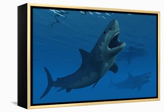 A Giant Megalodon Shark During the Cenozoic Era of Time-Stocktrek Images-Framed Stretched Canvas