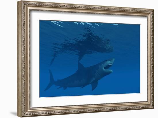 A Giant Megalodon Shark During the Cenozoic Era of Time-Stocktrek Images-Framed Art Print