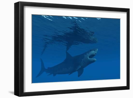 A Giant Megalodon Shark During the Cenozoic Era of Time-Stocktrek Images-Framed Art Print