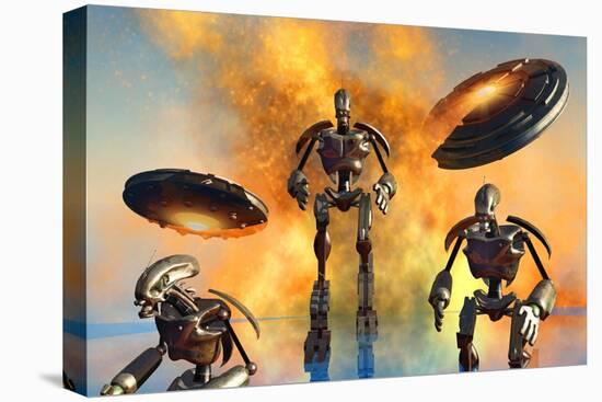 Stretched Canvas Print, , large