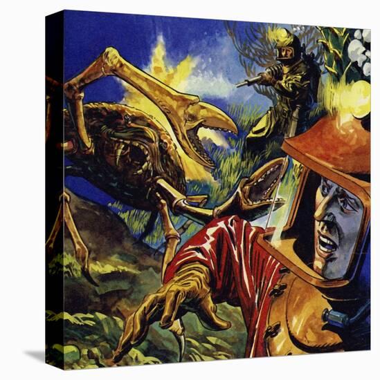 Stretched Canvas Print, , large