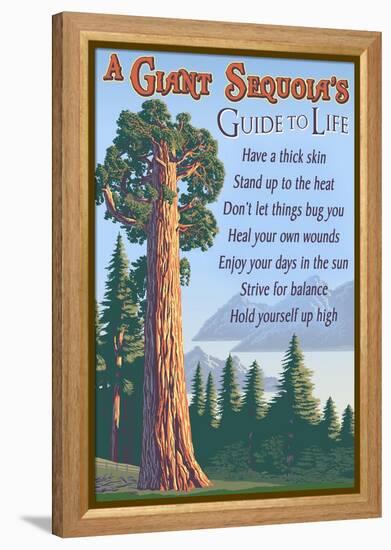 A Giant Sequoia's Guide to Life-Lantern Press-Framed Stretched Canvas