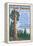 A Giant Sequoia's Guide to Life-Lantern Press-Framed Stretched Canvas