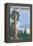 A Giant Sequoia's Guide to Life-Lantern Press-Framed Stretched Canvas