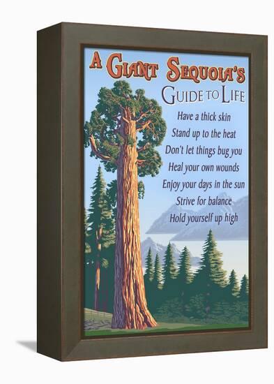 A Giant Sequoia's Guide to Life-Lantern Press-Framed Stretched Canvas