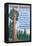 A Giant Sequoia's Guide to Life-Lantern Press-Framed Stretched Canvas