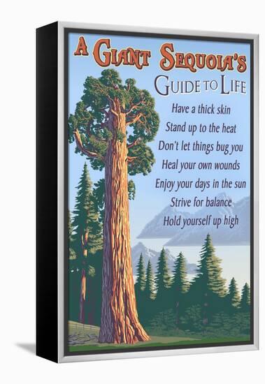 A Giant Sequoia's Guide to Life-Lantern Press-Framed Stretched Canvas